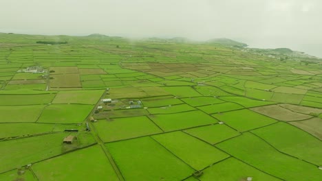 Fly-over-the-green-fields-of-farmers