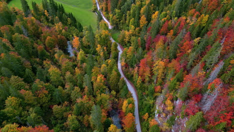 Aerial-view-following-a-road-in-middle-of-vibrant-fall-foliage-and-alps-of-Austria