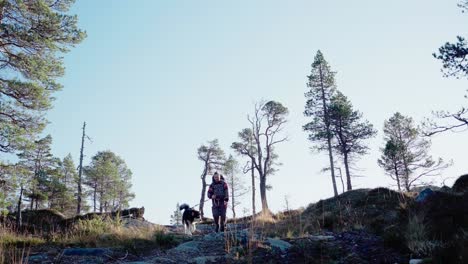 Male-Hiker-With-His-Alaskan-Malamute-Dog-Walking-In-Forest-Trail-In-Hildremsvatnet,-Norway---wide