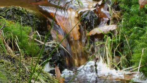 Calm-autumn-winter-woodland,-a-meandering-stream-meanders-over-rocks,-shaping-small-waterfalls