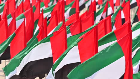 On-November-3,-the-country-celebrates-UAE-Flag-Day