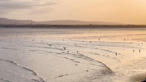 Ruhe-Am-Meer:-Sonnenuntergang,-Wellen-Und-Möwen-Am-Sandymount-Strand,-Irland
