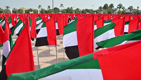 El-3-De-Noviembre,-El-País-Celebra-El-Día-De-La-Bandera-De-Los-Eau