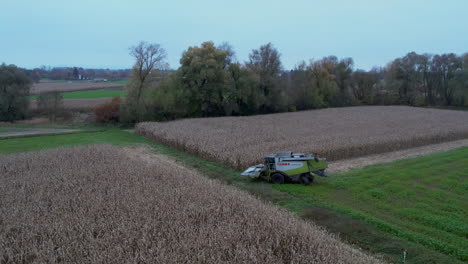 Tracking-shot-of-the-Harvester-Claas-Lexio-510-at-work-in-a-cornfield