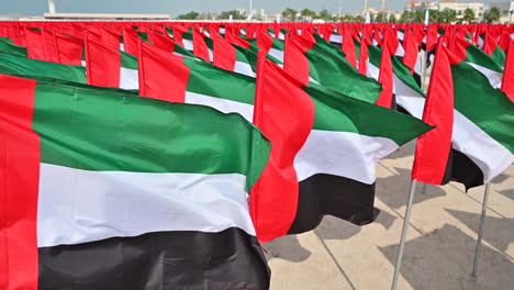 On-November-3,-the-country-celebrates-UAE-Flag-Day