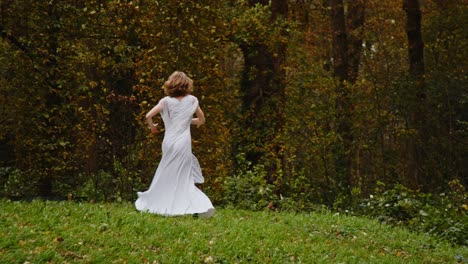 Wide-view-of-a-woman-in-a-tall-wide-dress-doing-pirouettes-in-a-forest