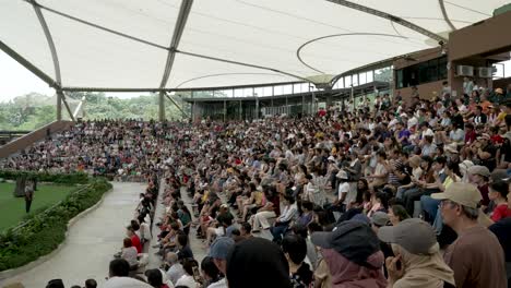 Himmelsamphitheater-Voller-Menschen,-Die-Auf-Den-Beginn-Der-Präsentation-Im-Bird-Paradise-Zoo-In-Singapur-Warten