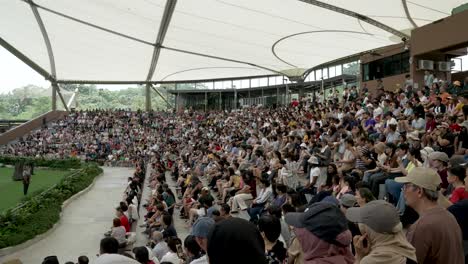 Anfiteatro-Sky-Lleno-De-Gente-Esperando-Que-Comience-La-Presentación-En-El-Zoológico-Bird-Paradise-En-Singapur.