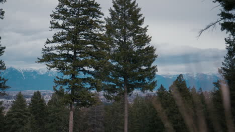 Long-shot-of-snow-capped-mountains-in-Montana-through-trees