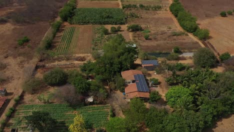 Campos-De-Cultivos-En-Tierras-Desérticas-Y-áridas