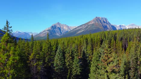 Espectacular-Vista-De-Las-Montañas-Rocosas-Canadienses-Desde-El-Parque-Nacional-Banff-Canadá