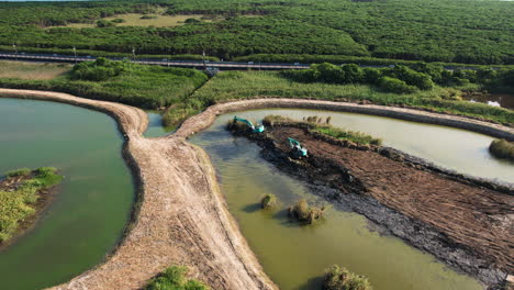 Excavators-Working-On-A-Wetlands-Restoration-Project,-Restoring-Ecosystem-And-Environment
