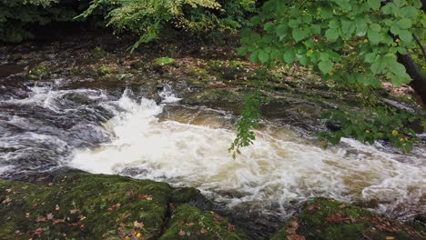 Der-Fluss-Tavy-Fließt-über-Felsbrocken-Und-Zwischen-Felsen-Im-Fluss,-Wodurch-Das-Wasser-Eine-Starke-Strömung-Hat-Und-Spritzt-Und-Schäumt