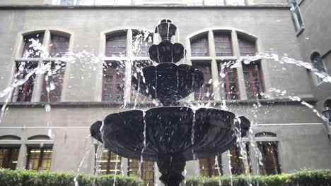 water-fountain-decorates-the-gardens-of-a-palace