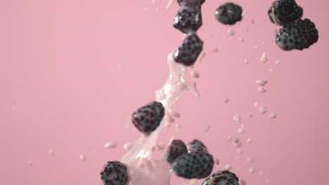 Blackberries-Being-Tossed-Up-With-Milk-And-A-Pink-Background