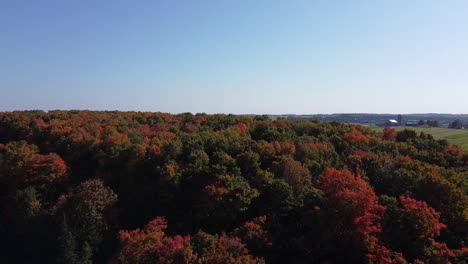Aerial-Flyover-Of-Forest-Landscape,-Peak-Fall-Colours
