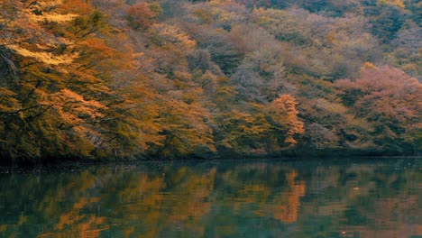 Wunderschöne-Herbstlandschaft-Mit-Bäumen-Und-Blättern