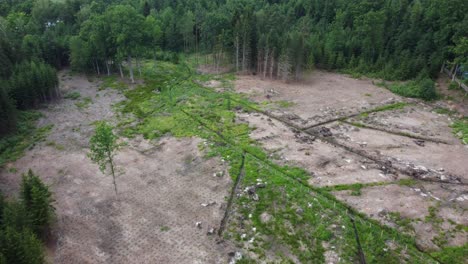 Ongoing-forest-restoration.-Water-gullies.-Drone
