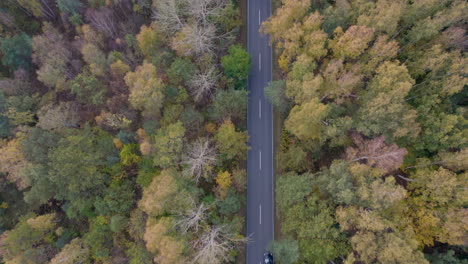 Aerial-View-Of-Cars-Traveling-Along-The-Forest-With-Yellow-Trees-During-Autumn-In-Hel-Peninsula