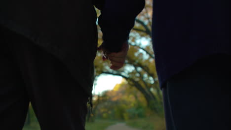 Elderly-couple-walking-holding-hands-at-sunset-in-the-Fall