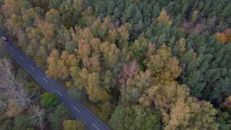 Aerial-view-of-a-dense-forest-and-road-leading-to-a-beach-with-breaking-waves