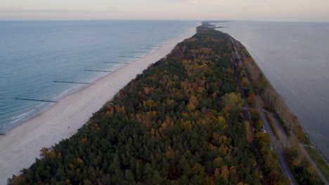 Sunset-aerial-view-of-a-beach-adjacent-to-a-vibrant-autumn-forest,-Kuźnica-Poland