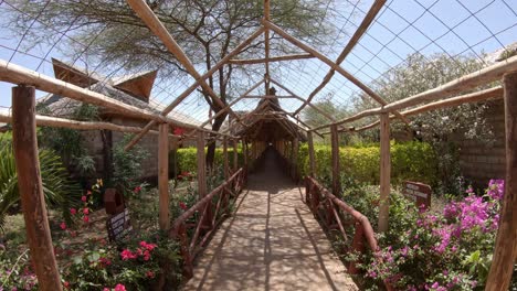 Serene-exotic-garden-at-AA-Lodge-Amboseli-resort,-Ol-Tukai,-Kenya