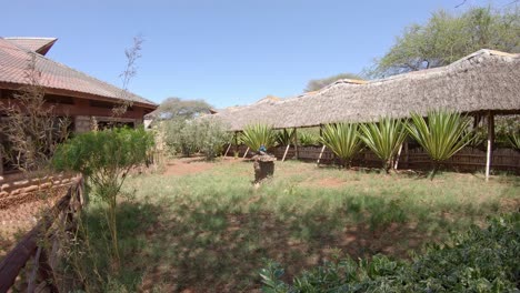 Little-birds-in-serene-garden-on-AA-Lodge-Amboseli-resort,-Ol-Tukai,-Kenya