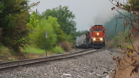 Tren-De-Carga-Bsnf-Pasando-Por-Un-Frondoso-Bosque-Cerca-De-Fort-Worth,-Texas,-EE.UU.