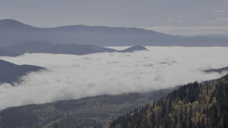 über-Der-Wolkendecke:-Drohnenaufnahme-Von-Herbstfarben-Und-Bewaldeten-Bergen