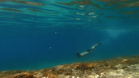 Statische-Unterwasseraufnahme-Eines-Mannes,-Der-Mit-Maske-Und-Schnorchel-In-Kroatien-Im-Mittelmeer-Taucht