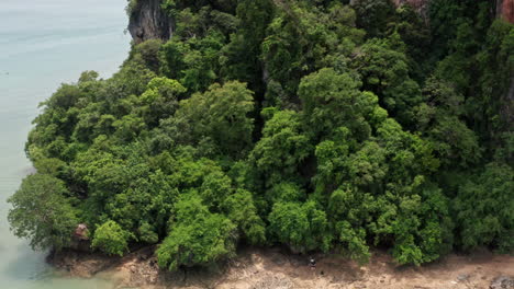 Aerial-Shot-of-Trees-and-Nature-on-Railay-Beach,-Krabi,-Thailand