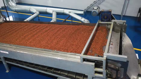 Aerial-top-view,-roasted-peanut-kernels-being-processed-to-make-peanut-butter