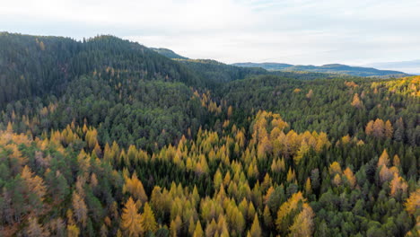 Aerial-shot-reveal-distant-autumn-landscape