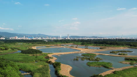 Drone-dolly-above-wetland-ponds-at-Guandu-nature-park-with-Taipei-skyline-in-distance