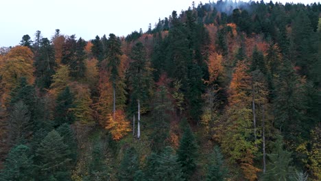 Aerial-slow-ascend-over-a-moody-forest-at-the-end-of-autumn-fall,-in-Vosges,-France