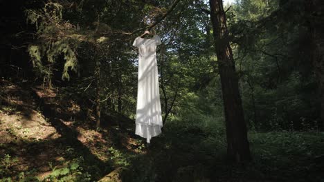 Langes,-Weißes-Hochzeitskleid-Und-Ein-Schleier,-Der-Im-Sommer-An-Einem-Baum-Hängt-–-Weißer-Brautschleier-–-Vergrößerte-Aufnahme