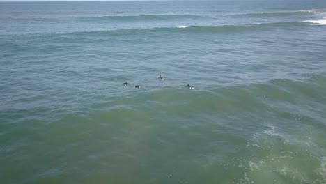 Aerial:-Surfers-in-ocean-at-Guincho-Beach,-Cascais,-Portugal