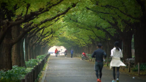 Japaner-Laufen-Zum-Sport-In-Tokio.