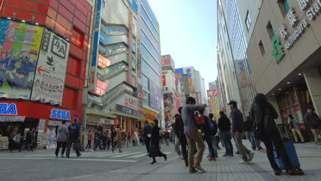 Gente-En-Akihabara,-Tokio,-Japón.