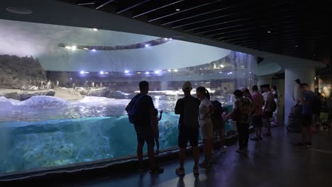 Visitantes-A-La-Exhibición-Penguin-Cove-Ubicada-En-El-Paraíso-De-Las-Aves-En-La-Reserva-De-Vida-Silvestre-De-Mandai-En-Singapur.