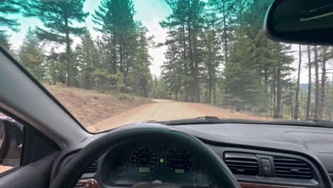 Driving-On-The-Lonely-Unpaved-Road-Through-Pine-Trees