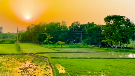Amazing-golden-hour-sunlight,-farmland-in-rural-Bangladesh,-view-from-train