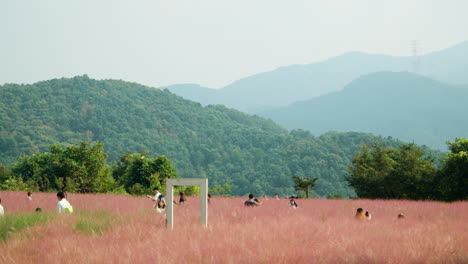 Clowd-of-People-Travel-Take-Selfies-in-Pink-Muhly-Grass-at-Herb-Island