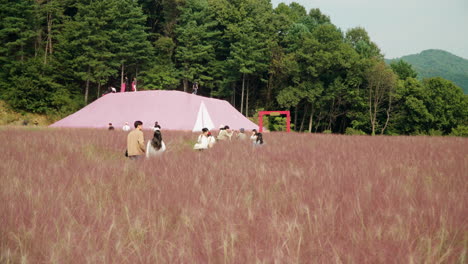 Herb-Island-Travelers-Walking-Through-Pink-Muhly-Grassland