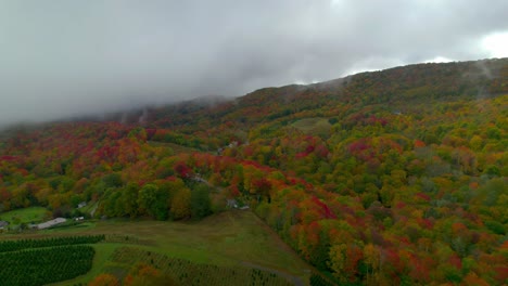 Aerial-view-of-autumn-colored-leaves-on-an-over-cast-morning-with-a-blanket-of-clouds