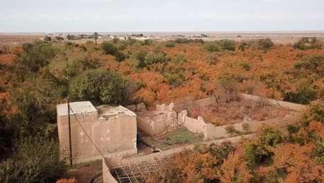 Agriculture-lifestyle-and-ancient-traditional-watering-system-using-qanat-for-pomegranate-garden-in-autumn-season-harvesting-ripe-red-fruits-in-famer-market-in-Iran-Aqda-Ardakan-in-Yazd