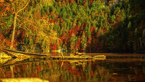 Ein-Wald-In-Wunderschönen-Herbstfarben-Mit-Spiegelungen-Im-Wasser-Eines-Sees