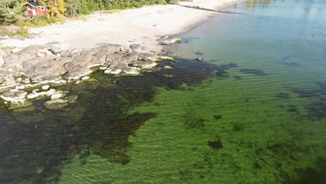 Crystal-Clear-Water-Of-A-Calm-Beach-During-Sunny-Autumn-Season-In-Sweden
