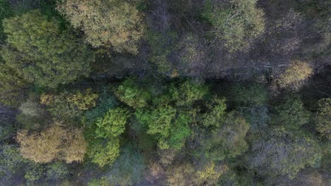 Nature-reclaiming-countryside-forest-road,-autumn-aerial-above-decommisioned-Bergen-railway